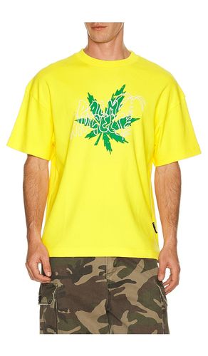 Palm Leaf Regular Tee in . Size S. Also in M, XL/1X, XXL/2X - Palm Angels - Modalova