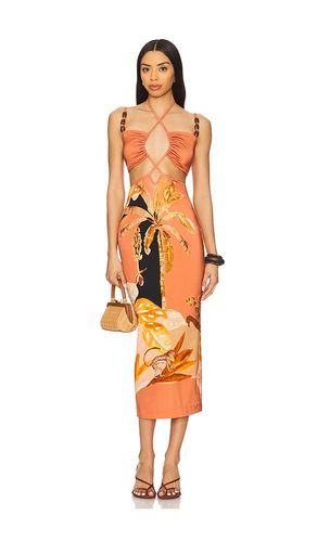 Bananier Midi Dress in Burnt Orange in Burnt Orange. - size L (also in S, XS) - PatBO - Modalova