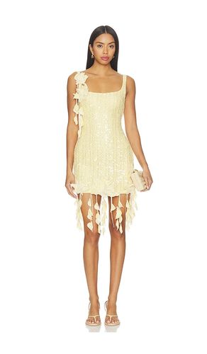 Lara Crochet Mini Dress in . - size 0 (also in 8) - PatBO - Modalova