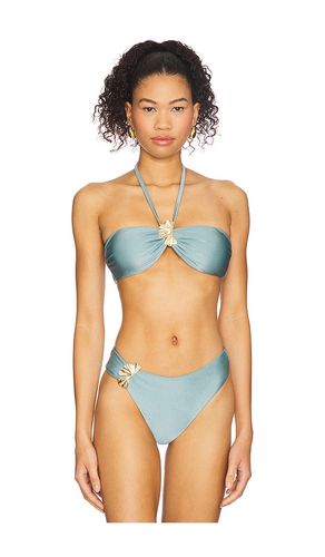 Seashell Lycra Halterneck Petal Bikini Top in Slate. - size M (also in S) - PatBO - Modalova