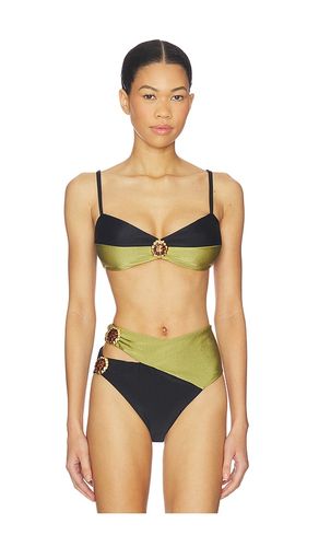 Jade Underwire Bikini Top in Olive,Black. - size M (also in XS) - PatBO - Modalova
