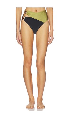 Jade High Waist Bikini Bottom in Olive,Black. - size S (also in XL) - PatBO - Modalova