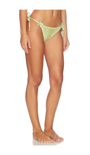 Petal Bikini Bottom in . - size L (also in M, S) - PatBO - Modalova