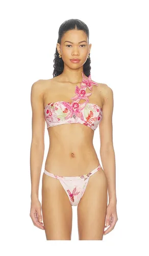 Orchid Bloom Bikini Top in . - size M (also in S, XS) - PatBO - Modalova