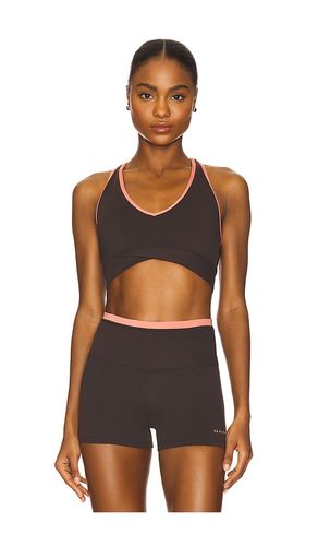 Vita Bra in Chocolate. - size M (also in XL, XXS) - P.E Nation - Modalova