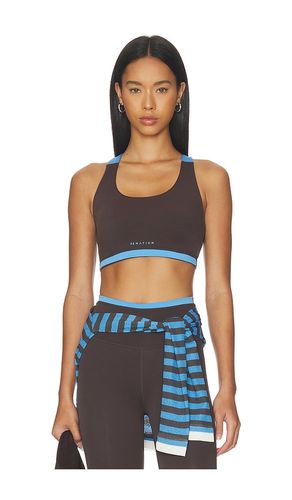 Highgate Sports Bra in Chocolate. - size M (also in S) - P.E Nation - Modalova