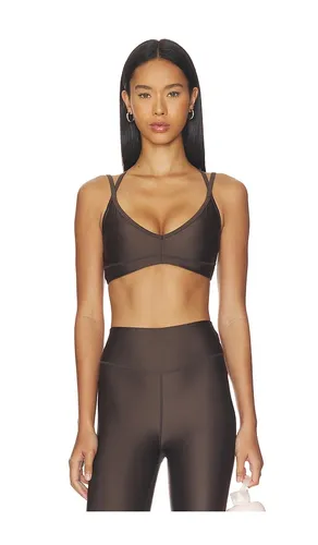 Paramount Sports Bra in Chocolate. - size M (also in S) - P.E Nation - Modalova