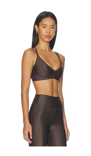 Paramount Sports Bra in Chocolate. - size M (also in S) - P.E Nation - Modalova