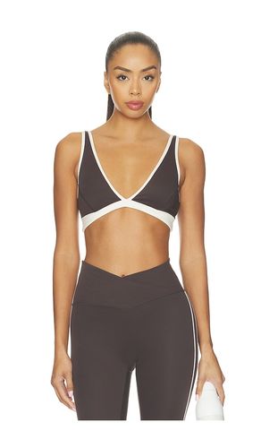 Vibe Sports Bra in Brown. - size S (also in M, L, XL) - P.E Nation - Modalova
