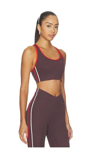 Stellar Sports Bra in Brown. - size M (also in S) - P.E Nation - Modalova
