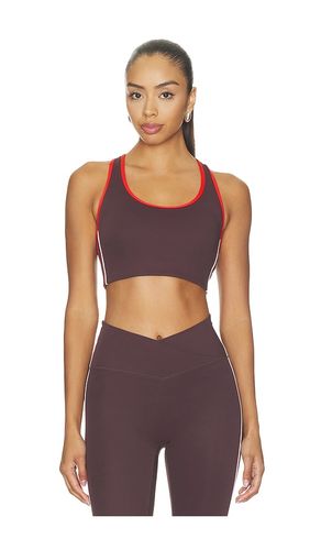 Stellar Sports Bra in Brown. - size M (also in S) - P.E Nation - Modalova
