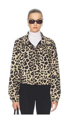 Shield Jacket in Beige. - size L (also in M, S, XL, XS) - P.E Nation - Modalova