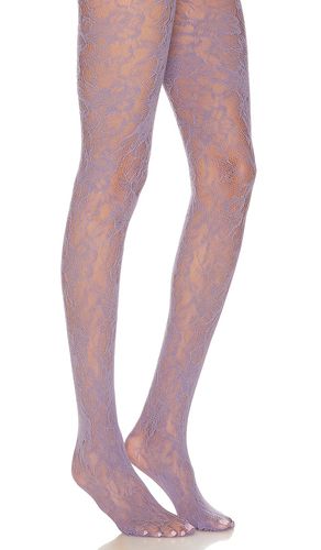 TIGHTS LACE in - petit moments - Modalova