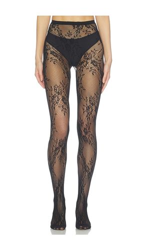 Stretch Lace Tights in - petit moments - Modalova