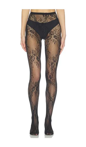 TIGHTS STRETCH LACE TIGHTS in - petit moments - Modalova
