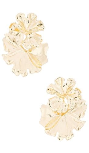 Noveldo Earrings in - petit moments - Modalova