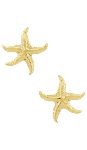 Starfish Earrings in Metallic - petit moments - Modalova