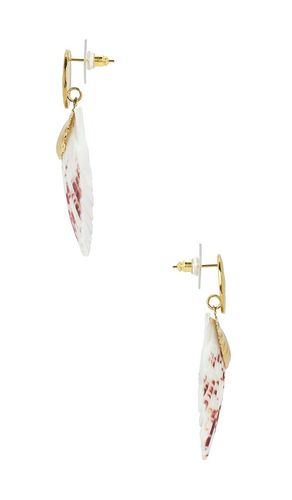 Embellished Shell Earrings in - petit moments - Modalova