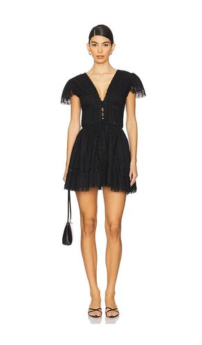 Piper Mini Dress in . - size M (also in S) - PEIXOTO - Modalova