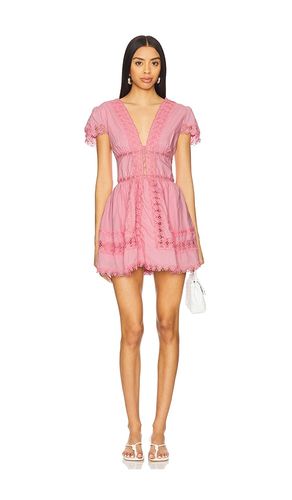 Piper Mini Dress in Pink. - size L (also in M, S, XL) - PEIXOTO - Modalova