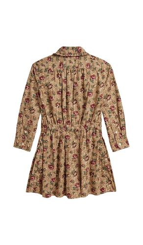 KLEID POPLIN FLORAL in . Größe 2. Also in 3, 4, 5, 6, 6X - Polo Ralph Lauren - Modalova