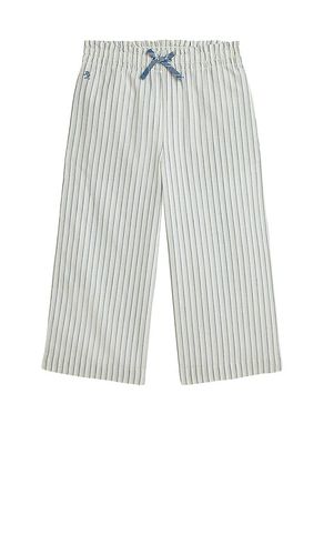 Kids Madras Stripe Pull-On Pant in . - size 2 (also in 3, 4, 5, 6) - Polo Ralph Lauren - Modalova