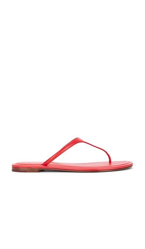 Nappa Thong Flat Sandals in . Size 10. Also in 6, 8.5 - Polo Ralph Lauren - Modalova