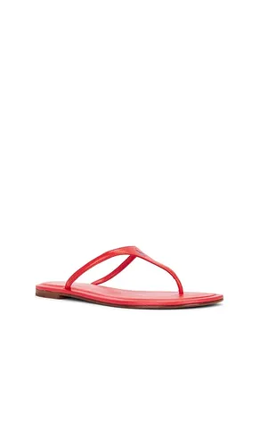 Nappa Thong Flat Sandals in . Size 10. Also in 6 - Polo Ralph Lauren - Modalova