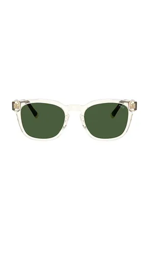 Square Sunglasses in - Polo Ralph Lauren - Modalova