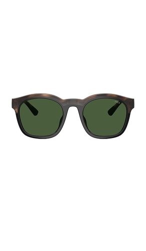Square Sunglasses in - Polo Ralph Lauren - Modalova