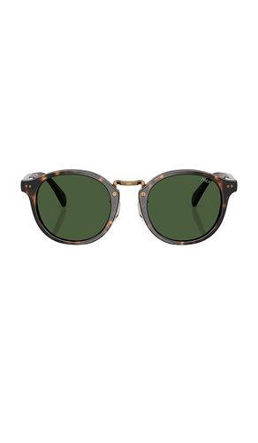Circular Sunglasses in - Polo Ralph Lauren - Modalova