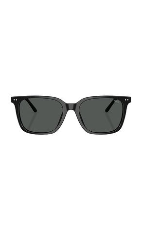Square Sunglasses in - Polo Ralph Lauren - Modalova