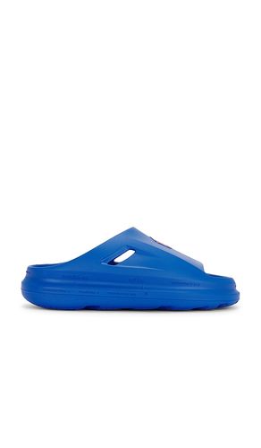 PANTOLETTE SABER in . Größe 9. Also in 11, 12 - Polo Ralph Lauren - Modalova