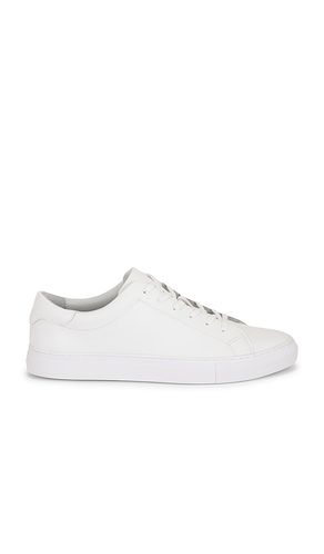 Jermain Leather Sneaker in . - size 11 (also in 12, 13, 8, 9) - Polo Ralph Lauren - Modalova