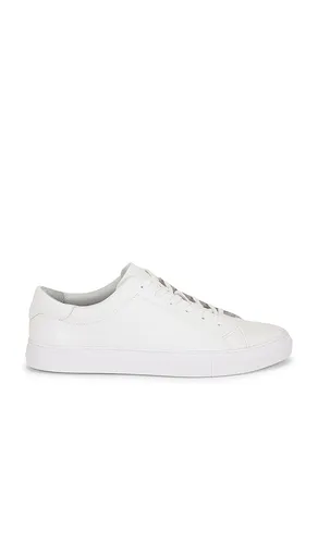 Jermain Leather Sneaker in . - size 8 (also in 9, 11, 12) - Polo Ralph Lauren - Modalova
