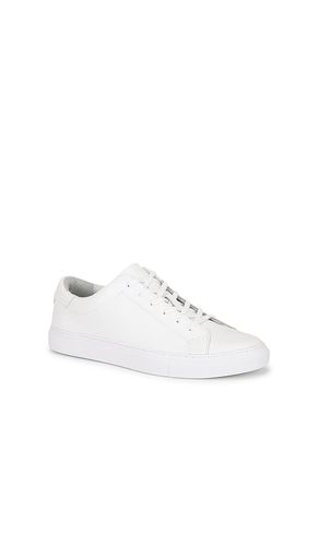 Jermain Leather Sneaker in . - size 11 (also in 12, 13, 8, 9) - Polo Ralph Lauren - Modalova
