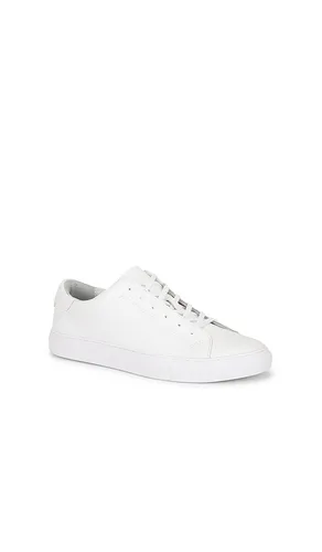 Jermain Leather Sneaker in . - size 11 (also in 12, 8, 9) - Polo Ralph Lauren - Modalova