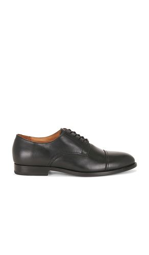 DERBY OWEN in . Größe 8. Also in 9, 10, 11, 12 - Polo Ralph Lauren - Modalova