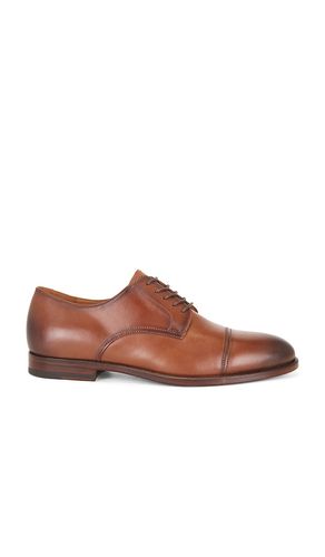 DERBY OWEN in . Größe 8. Also in 9, 10, 13 - Polo Ralph Lauren - Modalova