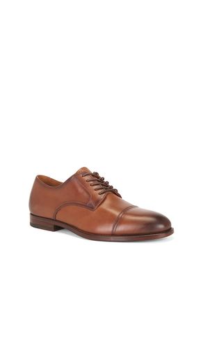 DERBY OWEN in . Größe 10. Also in 13, 8, 9 - Polo Ralph Lauren - Modalova