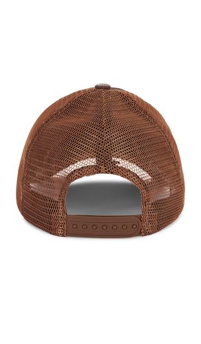 Philcos Lone Star Hat in Brown - Philcos - Modalova