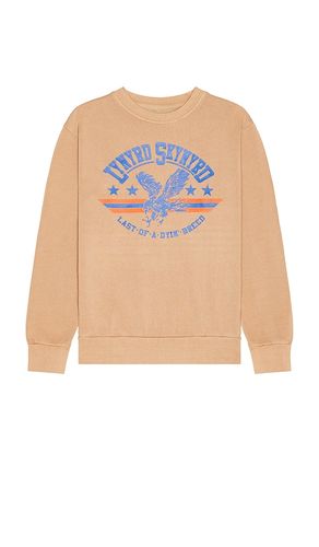 Lynyrd Skynyrd Blue Eagle Sweatshirt in Brown. - size L (also in M, S, XL/1X) - Philcos - Modalova