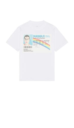 Superbad McLovin License Tee in . - size L (also in M, S, XL/1X) - Philcos - Modalova