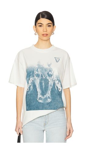 Guinness Horse Boxy Tee in Cream. - size L (also in M, S, XL/1X) - Philcos - Modalova