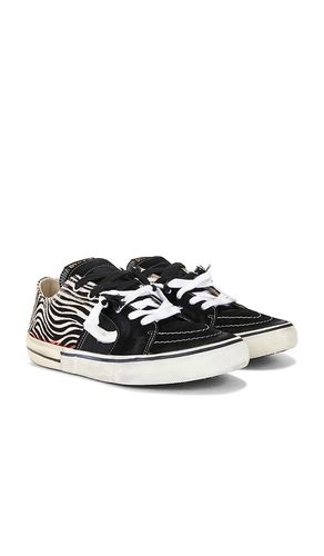 Caly Star Low Sneakers in . Size 41. Also in 42, 43, 46 - Paul Easterlin - Modalova