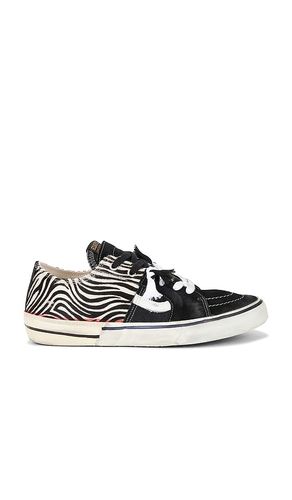 Caly Star Low Sneakers in . - size 41 (also in 43, 46) - Paul Easterlin - Modalova