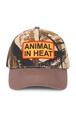 Heat Snapback Hat in - Pleasures - Modalova