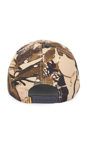 Heat Snapback Hat in - Pleasures - Modalova