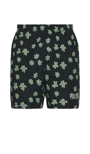 Floral Seersucker Shorts in . - size L (also in M, S, XL/1X) - Pleasures - Modalova