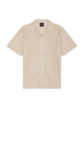 Lacy Button Down in . Taglia M, S, XL/1X - Pleasures - Modalova